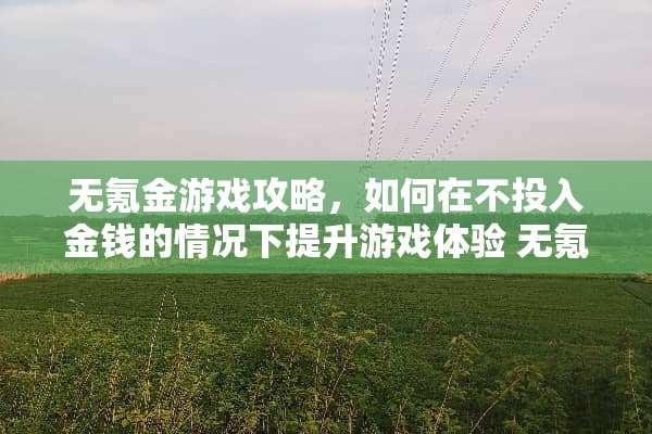 无氪金游戏攻略，如何在不投入金钱的情况下提升游戏体验 无氪金游戏攻略