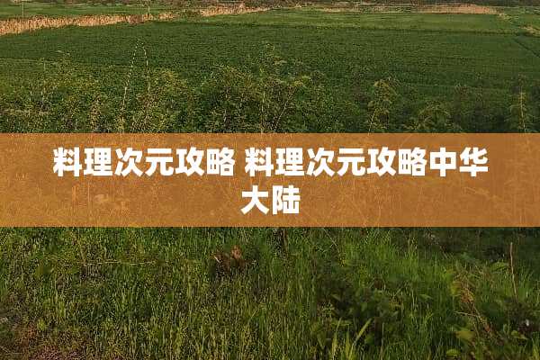 料理次元攻略 料理次元攻略中华**