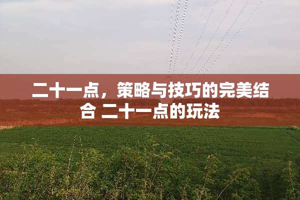 二十一点，策略与技巧的完美结合 二十一点的玩法