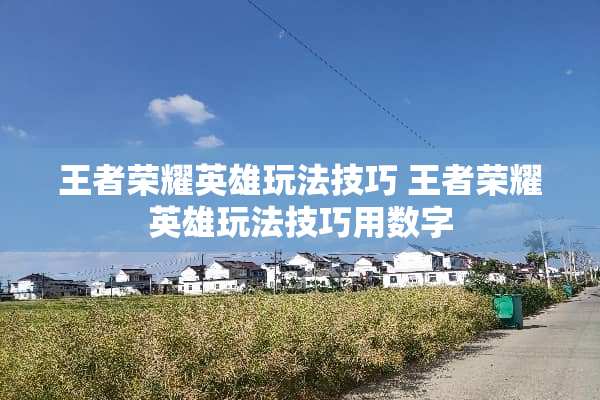 王者荣耀英雄玩法技巧 王者荣耀英雄玩法技巧用数字