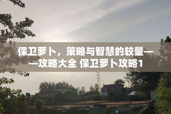 保卫萝卜，策略与智慧的较量——攻略大全 保卫萝卜攻略1