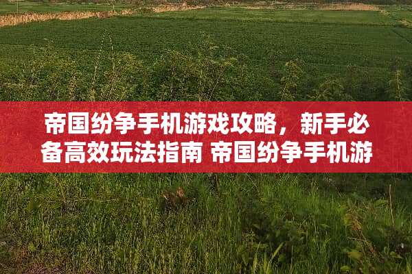帝国纷争手机游戏攻略，新手必备高效玩法指南 帝国纷争手机游戏攻略