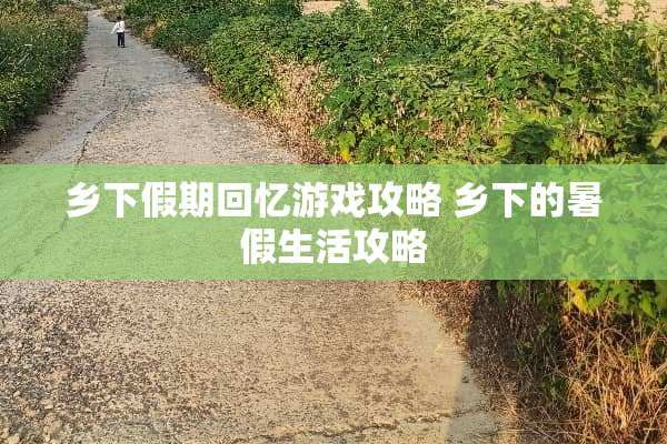 乡下假期回忆游戏攻略 乡下的暑假生活攻略
