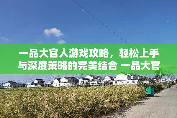一品大官人游戏攻略，轻松上手与深度策略的完美结合 一品大官人游戏攻略