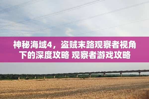 神秘海域4，盗贼末路观察者视角下的深度攻略 观察者游戏攻略