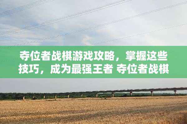 夺位者战棋游戏攻略，掌握这些技巧，成为最强王者 夺位者战棋游戏攻略
