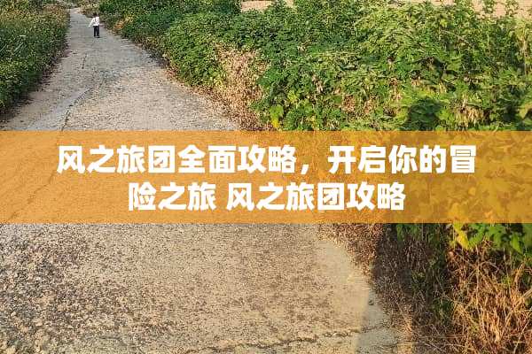 风之旅团全面攻略，开启你的冒险之旅 风之旅团攻略