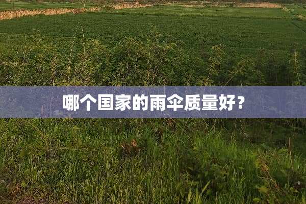 哪个国家的雨伞质量好？