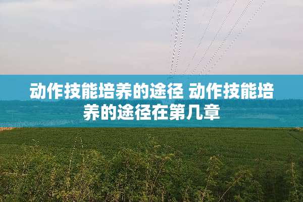 动作技能培养的途径 动作技能培养的途径在第几章