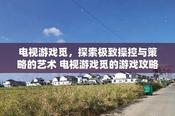 电视游戏觅，探索极致操控与策略的艺术 电视游戏觅的游戏攻略