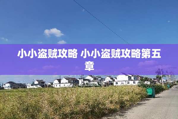 小小盗贼攻略 小小盗贼攻略第五章