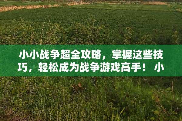 小小战争超全攻略，掌握这些技巧，轻松成为战争游戏高手！ 小小战争攻略游戏