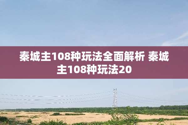 秦城主108种玩法全面解析 秦城主108种玩法20
