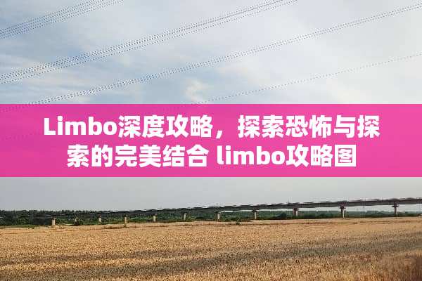 Limbo深度攻略，探索恐怖与探索的完美结合 limbo攻略图