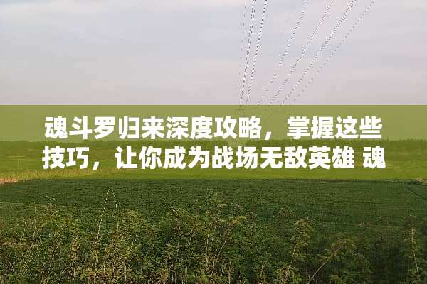 魂斗罗归来深度攻略，掌握这些技巧，让你成为战场无敌英雄 魂斗罗归来游戏攻略