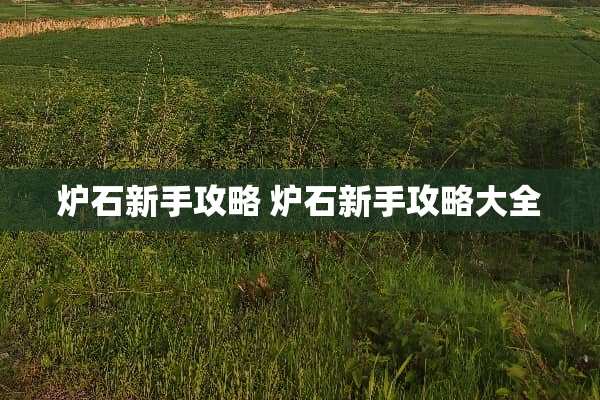 炉石新手攻略 炉石新手攻略大全