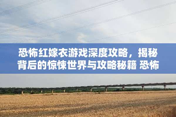 恐怖红嫁衣游戏深度攻略，揭秘背后的惊悚世界与攻略秘籍 恐怖红嫁衣游戏攻略