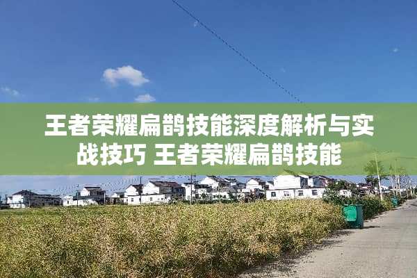 王者荣耀扁鹊技能深度解析与实战技巧 王者荣耀扁鹊技能