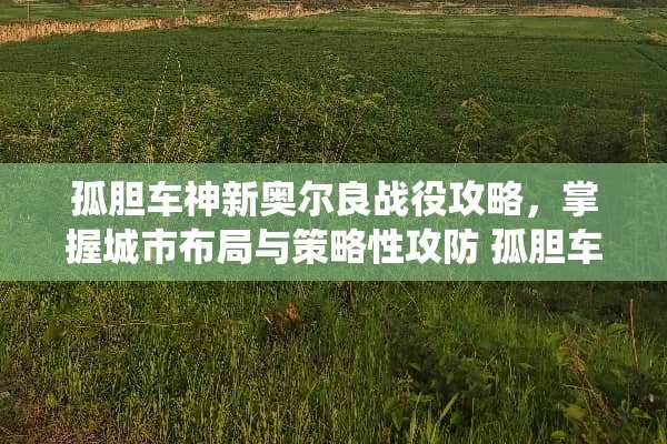 孤胆车神新奥尔良战役攻略，掌握城市布局与策略性攻防 孤胆车神新奥尔良攻略