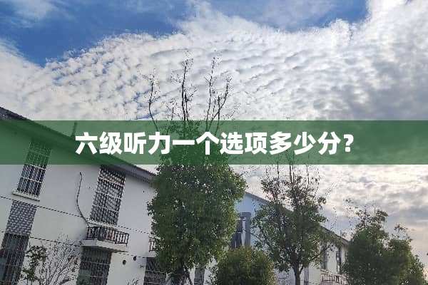 六级听力一个选项多少分？