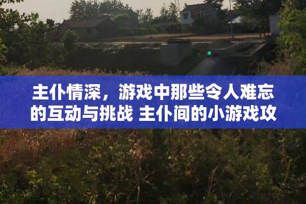 主仆情深，游戏中那些令人难忘的互动与挑战 主仆间的小游戏攻略