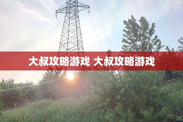 大叔攻略游戏 大叔攻略游戏