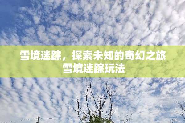 雪境迷踪，探索未知的奇幻之旅 雪境迷踪玩法