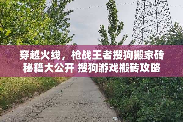 穿越火线，*战王者搜狗搬家砖秘籍大公开 搜狗游戏搬砖攻略