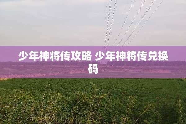 少年神将传攻略 少年神将传兑换码