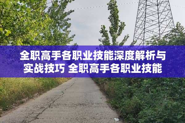 **高手各职业技能深度解析与实战技巧 **高手各职业技能