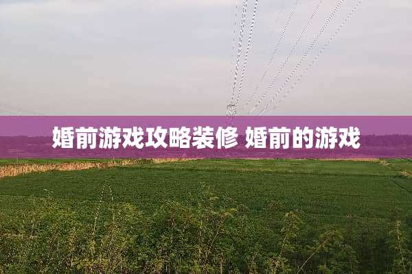 婚前游戏攻略装修 婚前的游戏