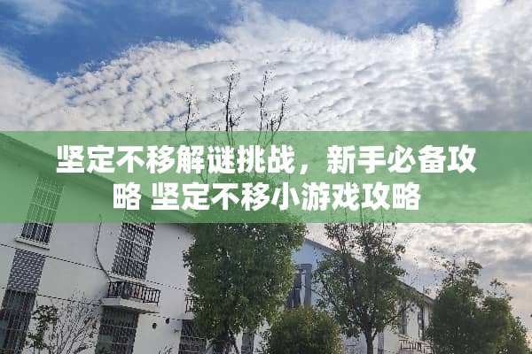 坚定不移解谜挑战，新手必备攻略 坚定不移小游戏攻略