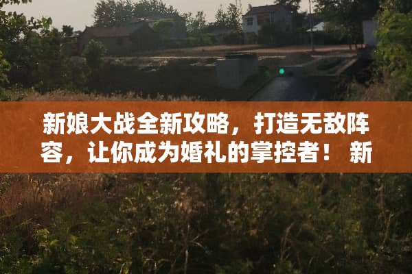 新娘大战全新攻略，打造无敌阵容，让你成为婚礼的掌控者！ 新娘大战游戏攻略