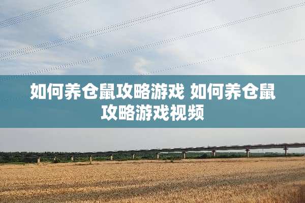 如何养仓鼠攻略游戏 如何养仓鼠攻略游戏视频