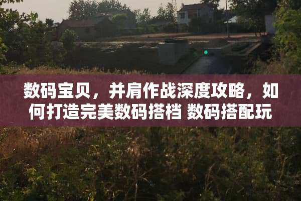 数码宝贝，并肩作战深度攻略，如何打造完美数码搭档 数码搭配玩法攻略游戏