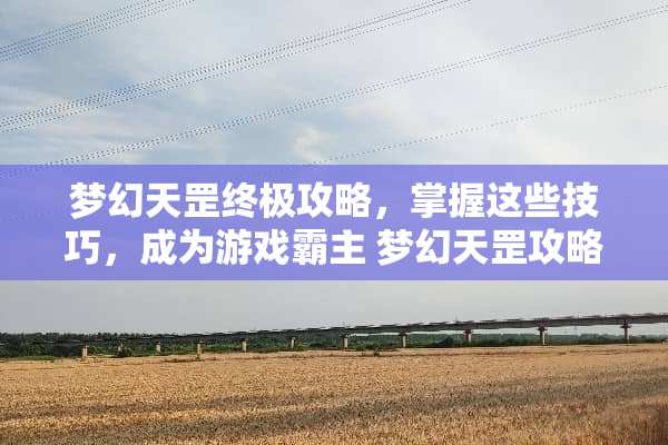 梦幻天罡终极攻略，掌握这些技巧，成为游戏霸主 梦幻天罡攻略