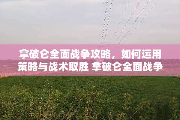 拿破仑全面战争攻略，如何运用策略与战术取胜 拿破仑全面战争攻略