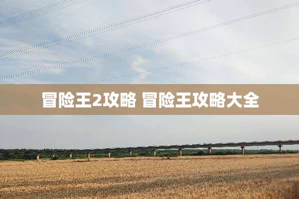 冒险王2攻略 冒险王攻略大全