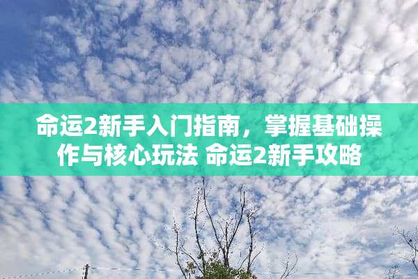 命运2新手入门指南，掌握基础操作与核心玩法 命运2新手攻略