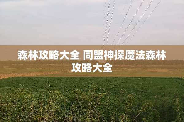 森林攻略大全 同盟神探魔法森林攻略大全