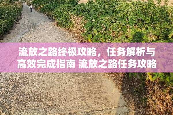 流放之路终极攻略，任务解析与高效完成指南 流放之路任务攻略