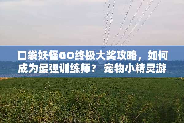 口袋妖怪GO终极大奖攻略，如何成为最强训练师？ 宠物小精灵游戏结局攻略