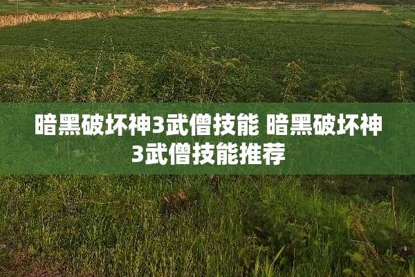 暗黑破坏神3武僧技能 暗黑破坏神3武僧技能推荐