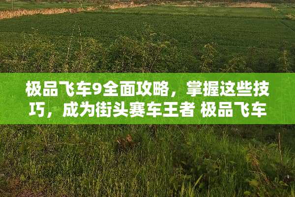 极品飞车9全面攻略，掌握这些技巧，成为街头赛车王者 极品飞车9攻略