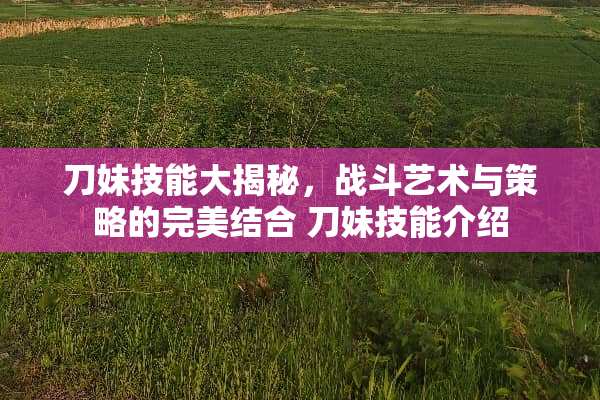 刀妹技能大揭秘，战斗艺术与策略的完美结合 刀妹技能介绍
