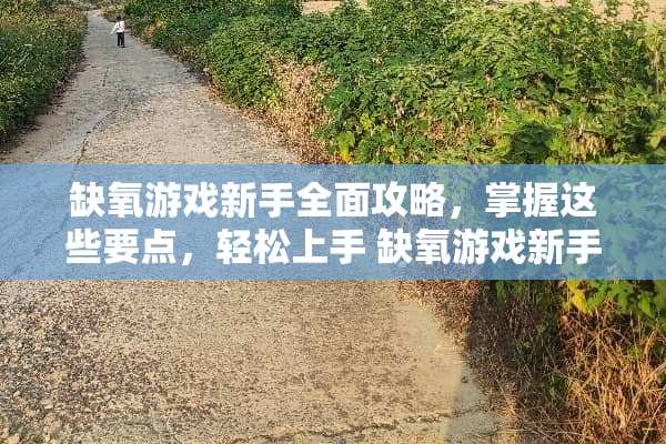 缺氧游戏新手全面攻略，掌握这些要点，轻松上手 缺氧游戏新手攻略