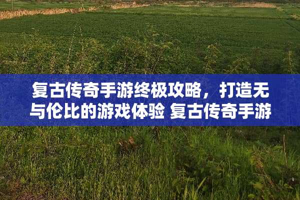 复古传奇手游终极攻略，打造无与伦比的游戏体验 复古传奇手游游戏攻略