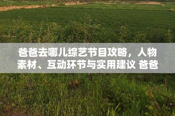 爸爸去哪儿综艺节目攻略，人物素材、互动环节与实用建议 爸爸游戏攻略人物素材
