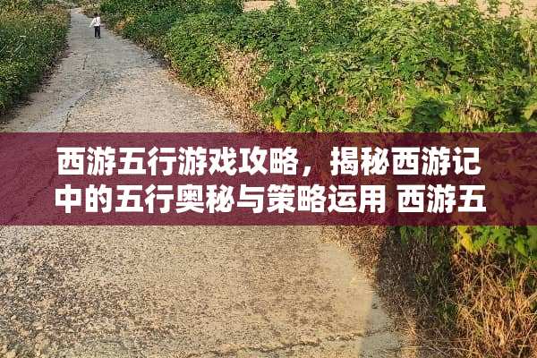 西游五行游戏攻略，揭秘西游记中的五行奥秘与策略运用 西游五行游戏攻略