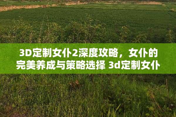 3D定制女仆2深度攻略，女仆的完美养成与策略选择 3d定制女仆2攻略